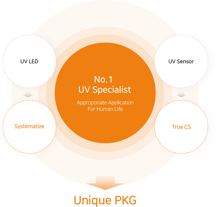 No.1 UV Specialist, UV LED, Systematize, UV Sensor, True CS → Unique PKG